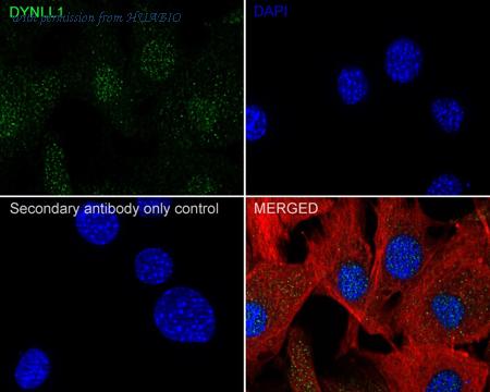 HUABIO ET1612-64 image 3
