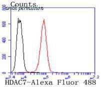 HUABIO ET1612-67 image 3