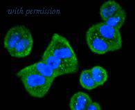 HUABIO ET1612-69 image 2