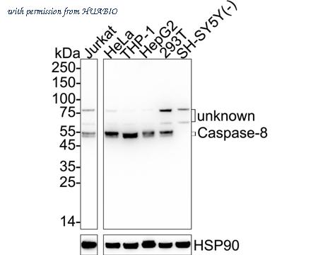 HUABIO ET1612-70 image 1