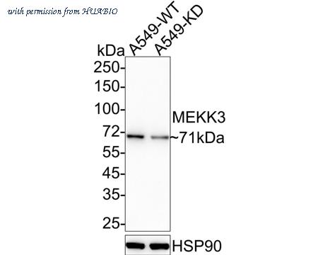 HUABIO ET1612-98 image 1