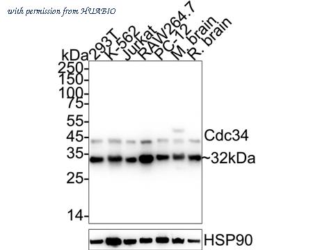 HUABIO ET1701-10 image 1
