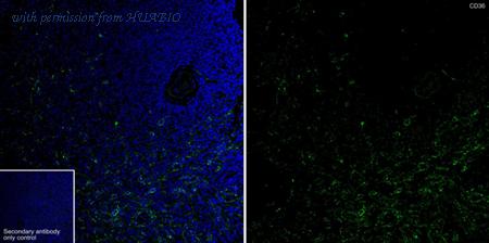 HUABIO ET1701-24-50UL image 3