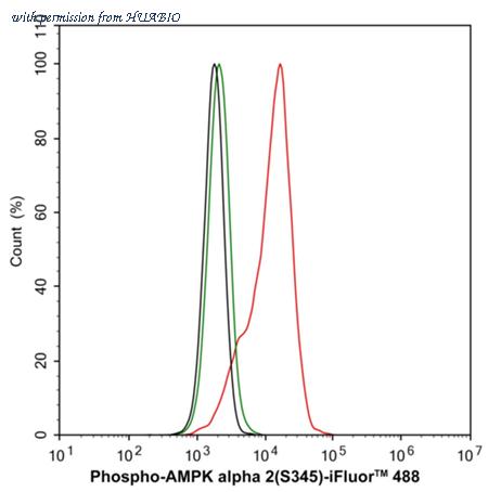 HUABIO ET1701-37 image 2