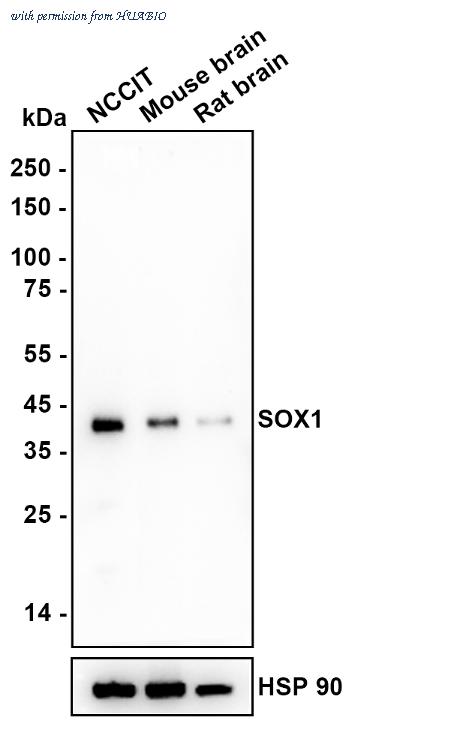 HUABIO ET1701-38-50UL image 2