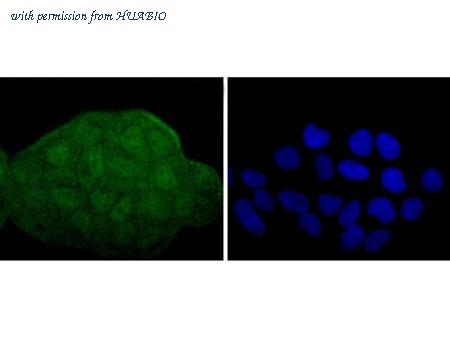 HUABIO ET1701-48 image 2