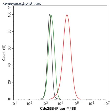 HUABIO ET1701-68 image 2