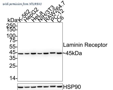 HUABIO ET1702-05 image 1