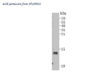 HUABIO ET1702-10-50UL image 3