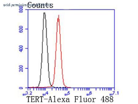 HUABIO ET1702-22 image 2