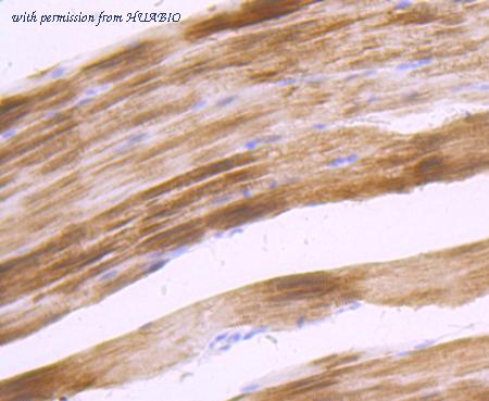 HUABIO ET1702-30 image 2