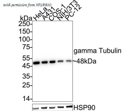 HUABIO ET1702-32 image 1