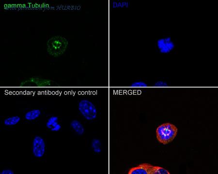 HUABIO ET1702-32 image 3