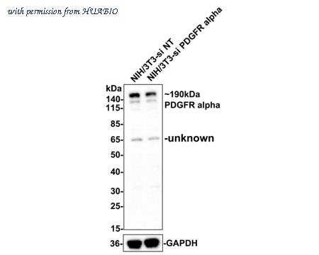 HUABIO ET1702-49-50UL image 3