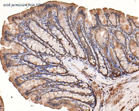 HUABIO ET1702-90 image 2