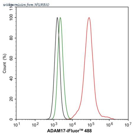 HUABIO ET1703-06-50UL image 3