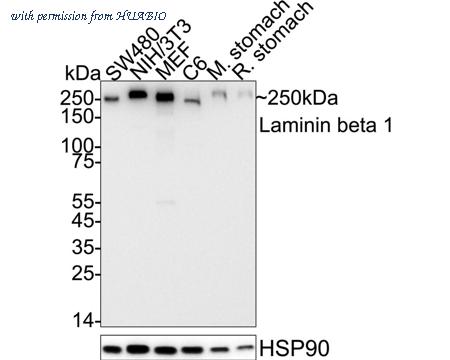 HUABIO ET1703-14 image 1