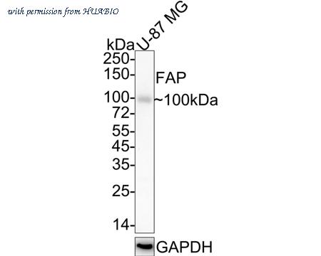 HUABIO ET1704-23-50UL image 1