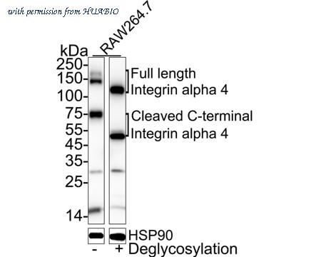 HUABIO ET1704-31 image 2