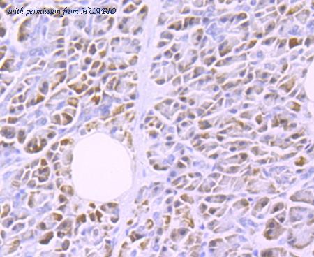 HUABIO ET1704-48 image 3