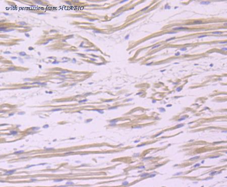 HUABIO ET1704-73 image 3