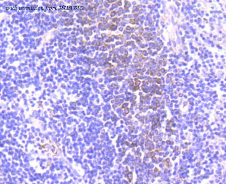 HUABIO ET1704-74 image 3