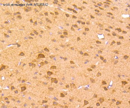 HUABIO ET1704-96 image 2