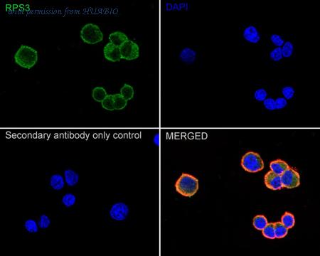 HUABIO ET1705-2 image 2