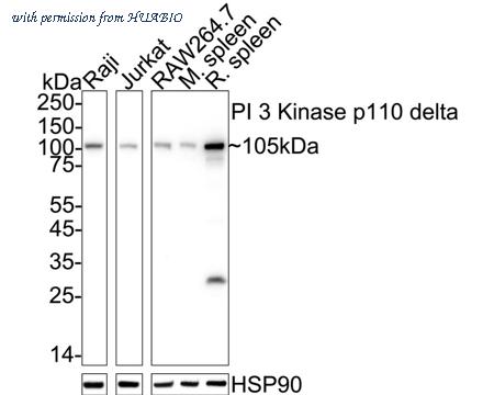 HUABIO ET1705-46 image 1