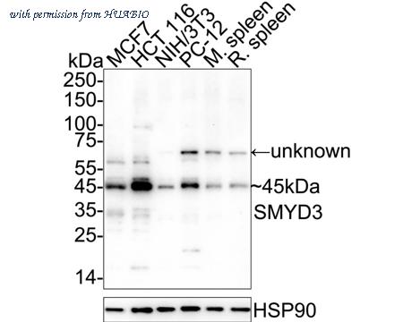HUABIO ET1705-58 image 1