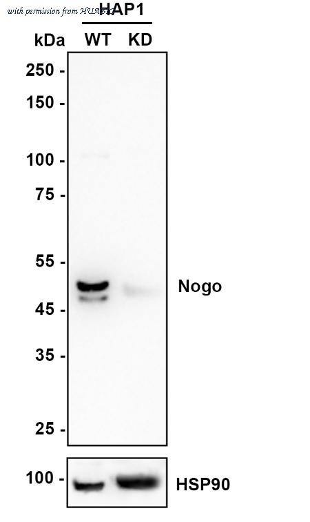 HUABIO ET1705-63 image 3