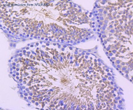 HUABIO ET1705-8 image 2