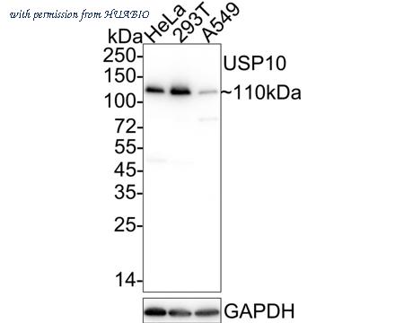 HUABIO ET1706-12 image 1