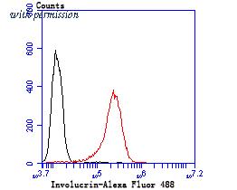 HUABIO ET1706-32 image 3