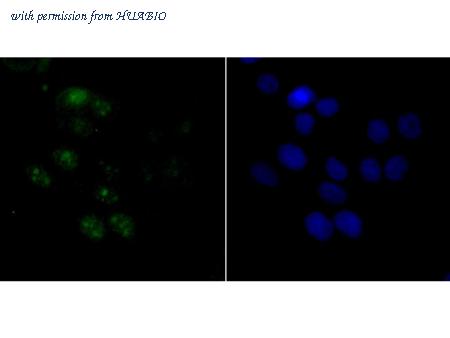 HUABIO ET7106-60 image 2