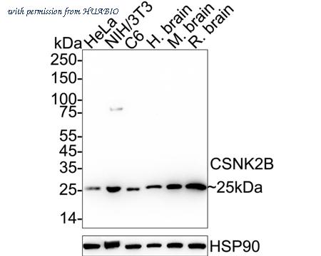 HUABIO ET7106-67 image 1