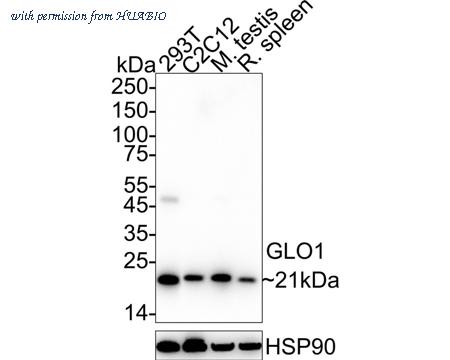 HUABIO ET7106-68 image 1