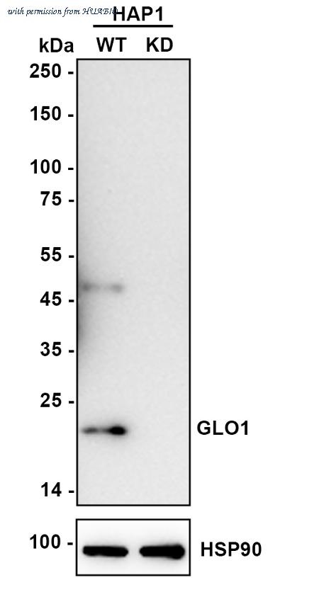 HUABIO ET7106-68 image 2