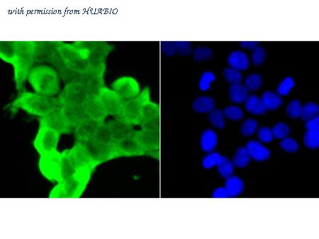 HUABIO ET7106-68 image 3