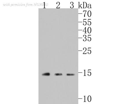 HUABIO ET7106-71 image 1