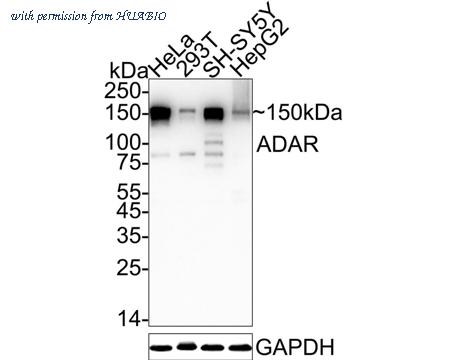 HUABIO ET7106-72 image 1