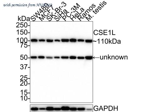 HUABIO ET7106-90 image 1