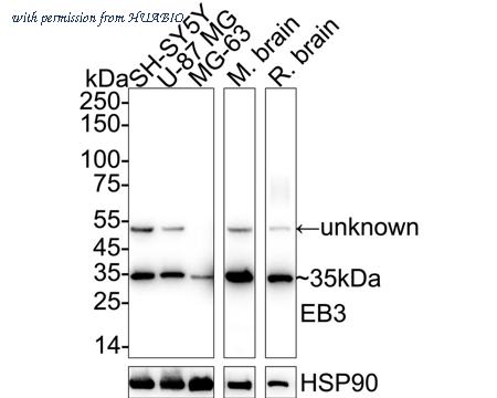 HUABIO ET7106-99 image 1
