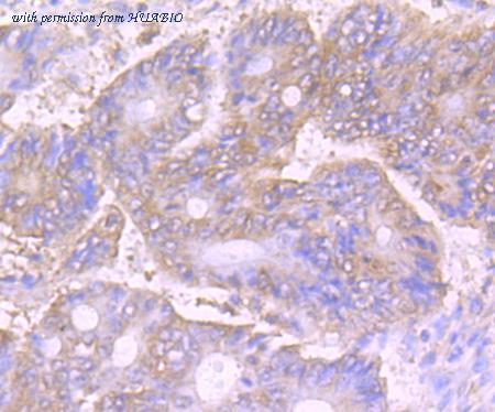 HUABIO ET7107-01 image 2