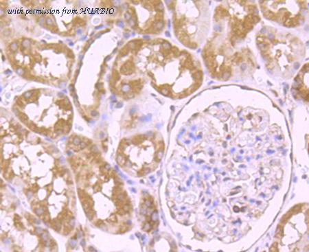 HUABIO ET7107-01 image 3