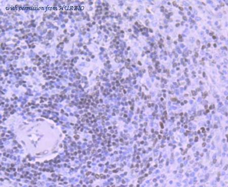 HUABIO ET7107-14 image 3