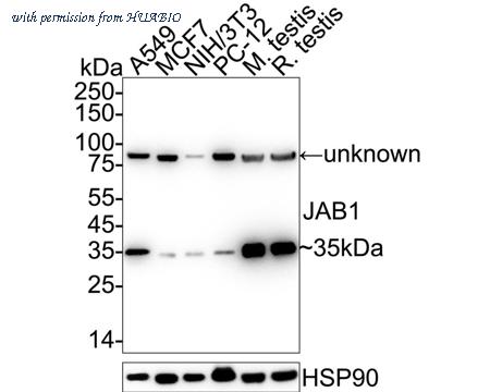 HUABIO ET7107-23 image 1