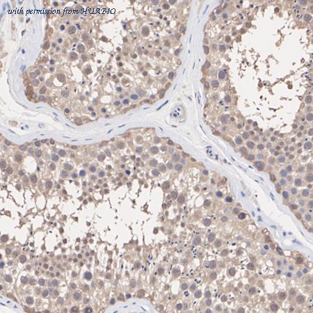 HUABIO ET7107-23 image 3