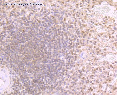 HUABIO ET7107-24 image 2