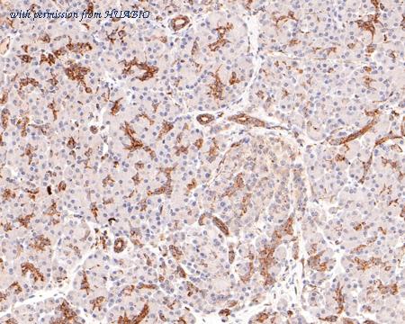 HUABIO ET7107-26 image 3